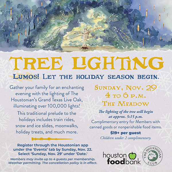 Tree Lighting