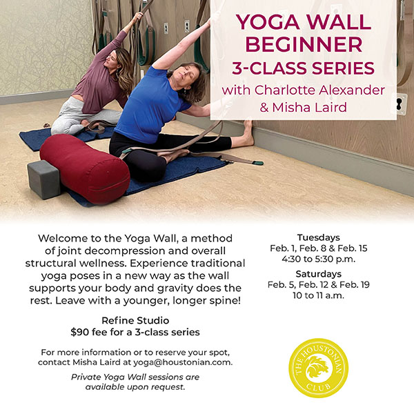 Yoga Wall Beginner Series